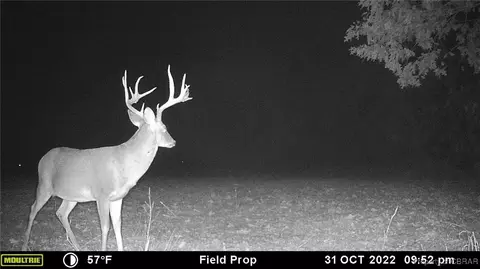 34 Acres Windsor Rd, Dutton, VA 23050 photo 33