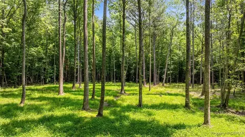34 Acres Windsor Rd, Dutton, VA 23050 photo 13
