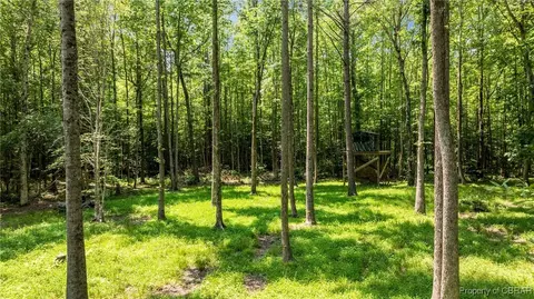 34 Acres Windsor Rd, Dutton, VA 23050 photo 15