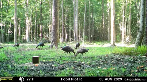 34 Acres Windsor Rd, Dutton, VA 23050 photo 30
