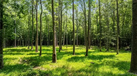 34 Acres Windsor Rd, Dutton, VA 23050 photo 12