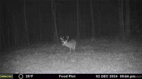 34 Acres Windsor Rd, Dutton, VA 23050 photo 29