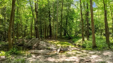 34 Acres Windsor Rd, Dutton, VA 23050 photo 11