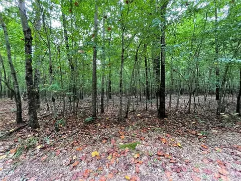 10 88 Ac Beech Creek Rd, Gloucester, VA 23061 photo 5