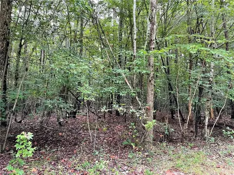 10 88 Ac Beech Creek Rd, Gloucester, VA 23061 photo 9