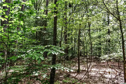 00 Hickory Fork Rd, Gloucester, VA 23061 photo 2