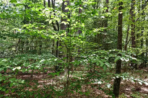 00 Hickory Fork Rd, Gloucester, VA 23061