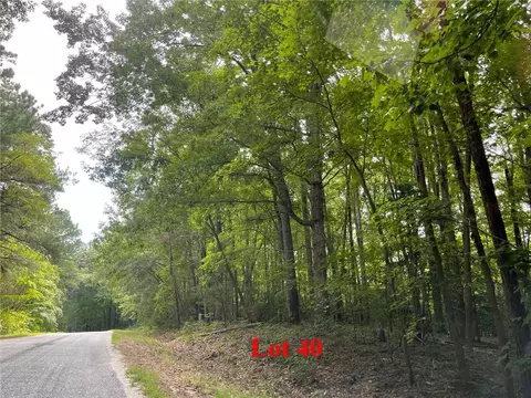 lot40 Wicomico Dr, Heathsville, VA 22473