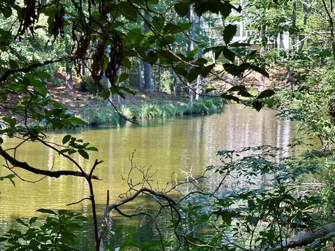 lot75 Wood Duck Ct, Heathsville, VA 22473