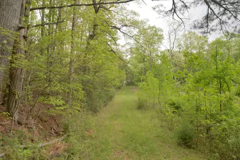 Off Neely, Highlands, NC 28741 photo 10