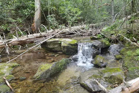 Off Neely, Highlands, NC 28741 photo 14