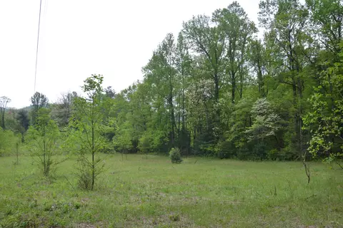 Off Neely, Highlands, NC 28741 photo 19