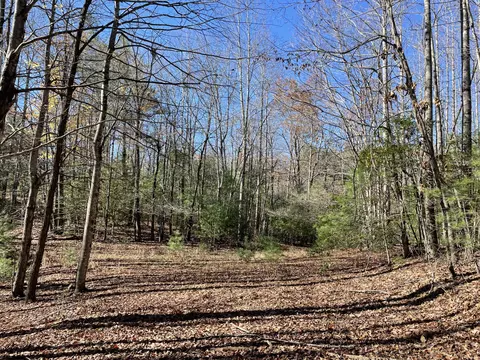 Off Neely, Highlands, NC 28741 photo 26