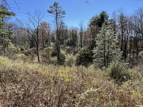 Off Neely, Highlands, NC 28741 photo 29