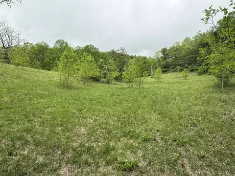 Off Neely, Highlands, NC 28741 photo 9