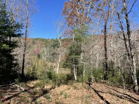 Off Neely, Highlands, NC 28741 photo 27