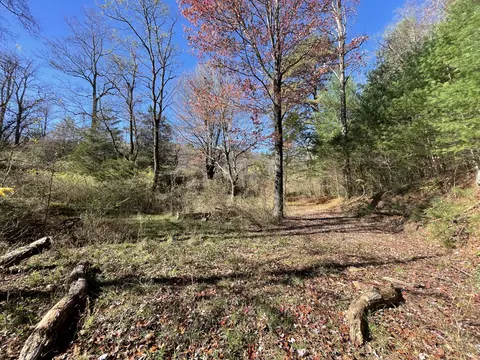 Off Neely, Highlands, NC 28741 photo 30