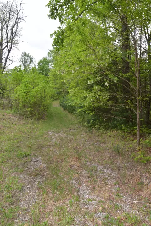Off Neely, Highlands, NC 28741 photo 12
