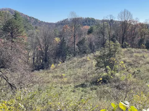 Off Neely, Highlands, NC 28741 photo 34