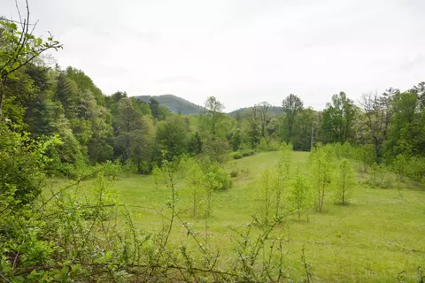 Off Neely, Highlands, NC 28741 photo 17