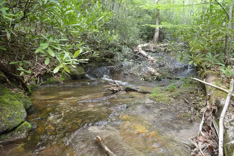 Off Neely, Highlands, NC 28741 photo 15