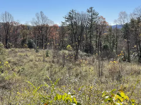Off Neely, Highlands, NC 28741 photo 35