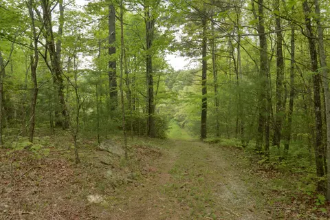 Off Neely, Highlands, NC 28741 photo 11