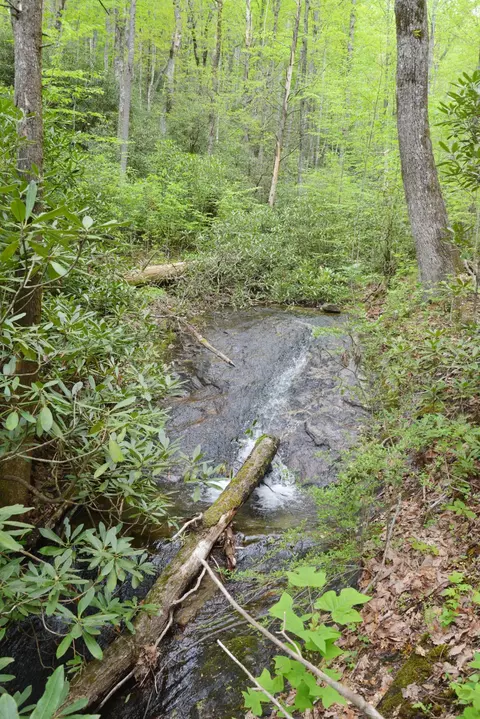 Off Neely, Highlands, NC 28741 photo 16