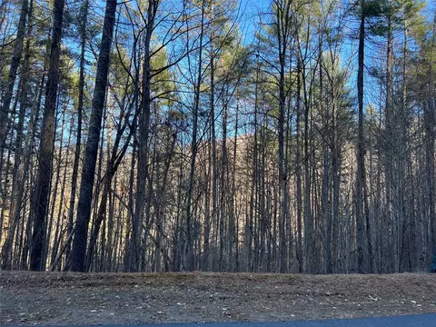 50 Rustling Woods Trl, Cullowhee, NC 28723 photo 4