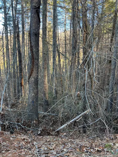 50 Rustling Woods Trl, Cullowhee, NC 28723 photo 2