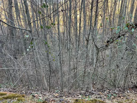 50 Rustling Woods Trl, Cullowhee, NC 28723 photo 6