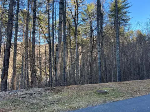 50 Rustling Woods Trl, Cullowhee, NC 28723 photo 3