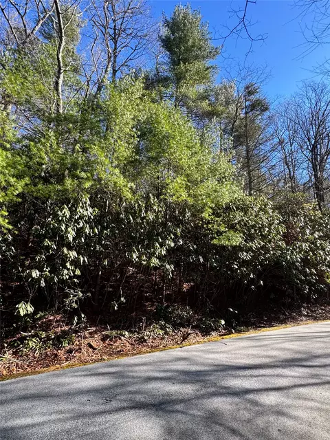 285 Pine Cone Ct, Sapphire, NC 28774 photo 7