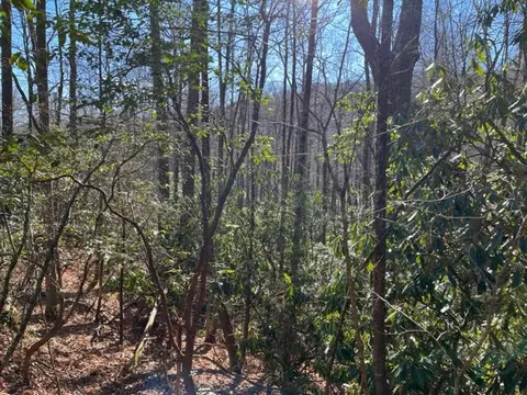 lot89 Christy Trl, Sapphire, NC 28774