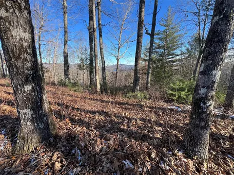 26 Shepherds Gap Rd, Cullowhee, NC 28723 photo 5
