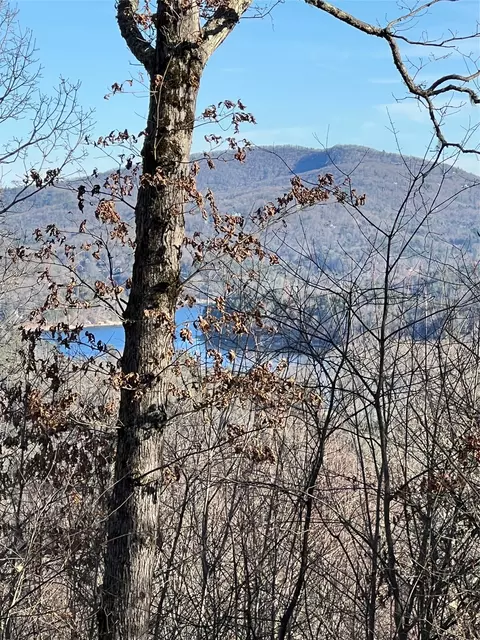 26 Shepherds Gap Rd, Cullowhee, NC 28723 photo 3