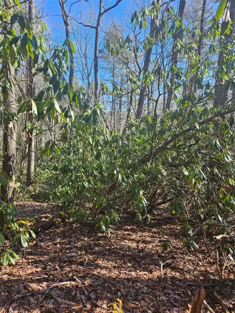 5 Ruffed Grouse Rd, Cashiers, NC 28717