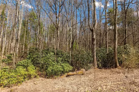 1641 White Rock Rd, Cullowhee, NC 28723 photo 19