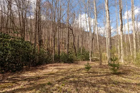 1641 White Rock Rd, Cullowhee, NC 28723 photo 17