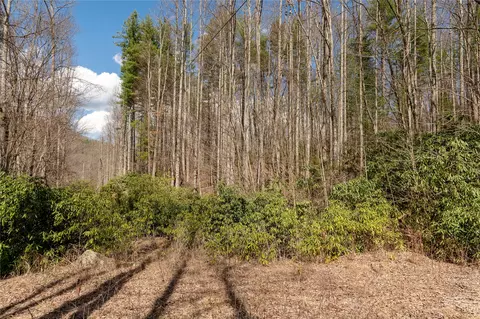 1641 White Rock Rd, Cullowhee, NC 28723 photo 20
