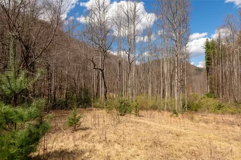 1641 White Rock Rd, Cullowhee, NC 28723 photo 12