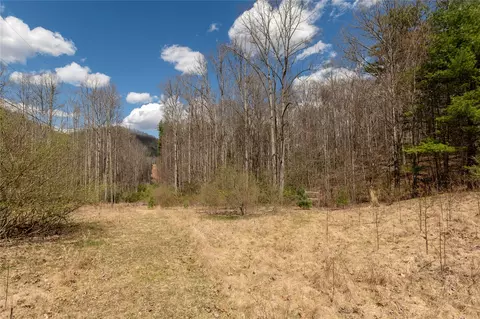 1641 White Rock Rd, Cullowhee, NC 28723 photo 6