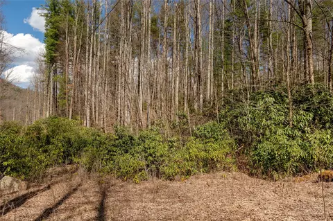 1641 White Rock Rd, Cullowhee, NC 28723 photo 18