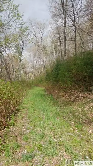4567 4567 Captiva Mountain Drive Cullowhee Nc 28723 Dr, Cullowhee, NC 28723 photo 2
