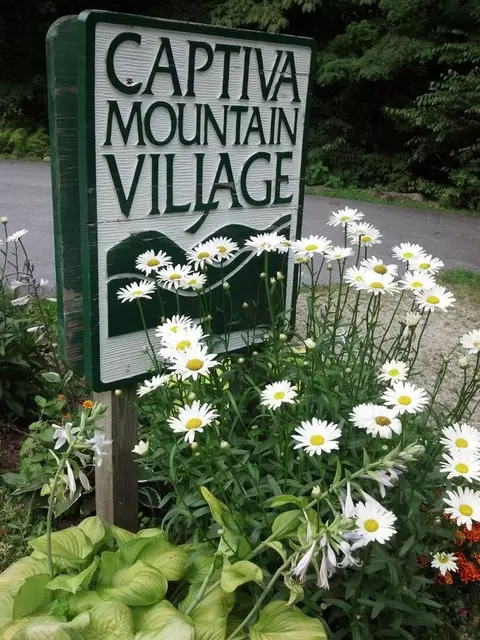 4567 4567 Captiva Mountain Drive Cullowhee Nc 28723 Dr, Cullowhee, NC 28723 photo 3