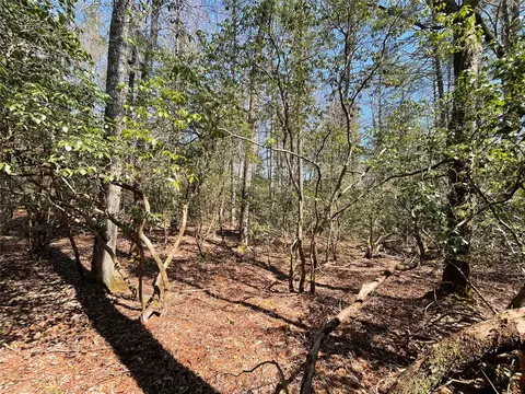 269 Beaver Court, Sapphire, NC 28774 photo 2