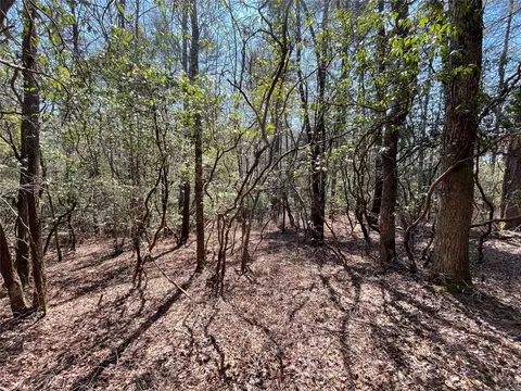 269 Beaver Court, Sapphire, NC 28774 photo 4