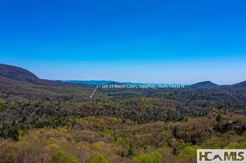 33 Beech Ct, Sapphire, NC 28774 photo 6