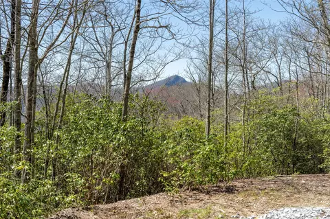 3 Big Granite Ct, Sapphire, NC 28774 photo 10