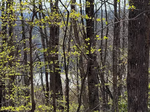 lot22 Bright Mtn, Cullowhee, NC 28723 photo 6